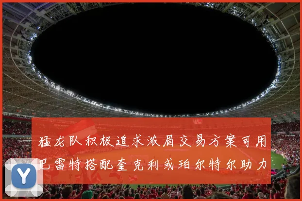 猛龙队积极追求浓眉交易方案可用巴雷特搭配奎克利或珀尔特尔助力交易