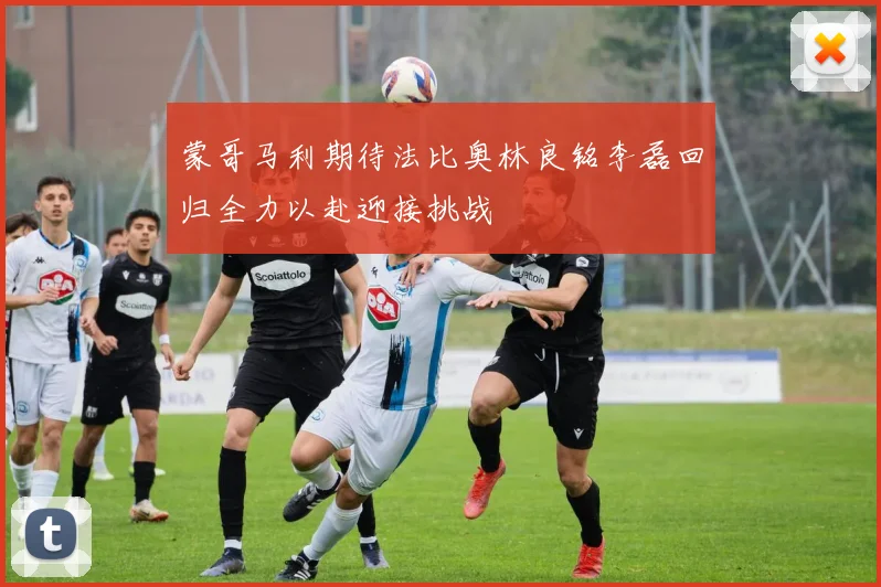 蒙哥马利期待法比奥林良铭李磊回归全力以赴迎接挑战