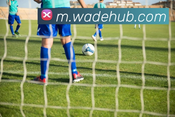 韦德体育平台生态图