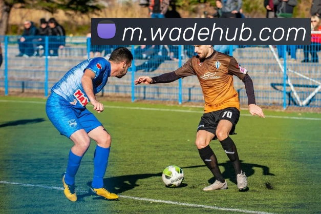 韦德体育全站App